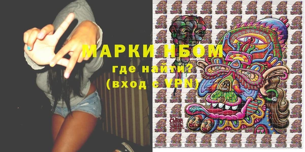индика Кизел