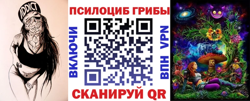 магазин продажи наркотиков  Малмыж  Псилоцибиновые грибы Cubensis 